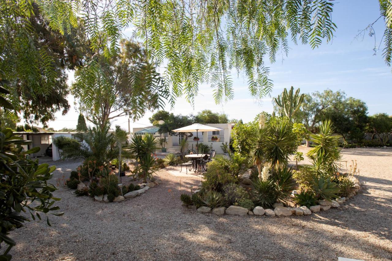 Apartment Costa Blanca 穆特萨梅尔 外观 照片